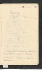 Seite 70, Tagebuch "Dürnstein | Wöbling - neol. | Höbenbach | Kl. Rust | Noppendorf" (NHMW-PRAE-BBB-45)